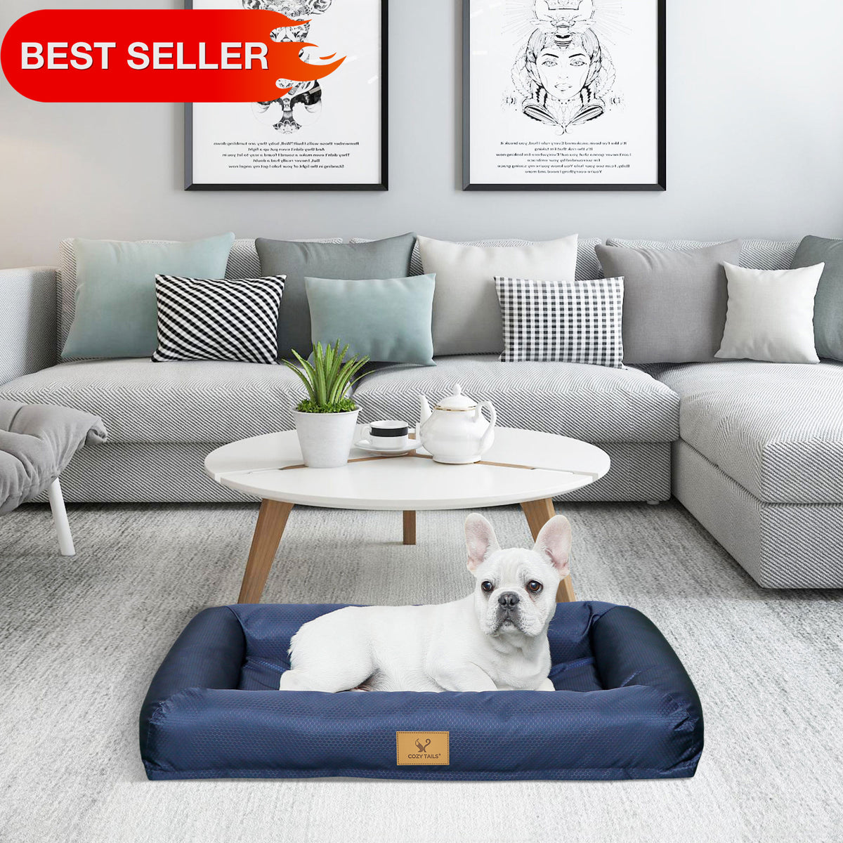 CT009 Waterproof Pet NEST with Cooling Gel Memory Foam – Cozy Tails