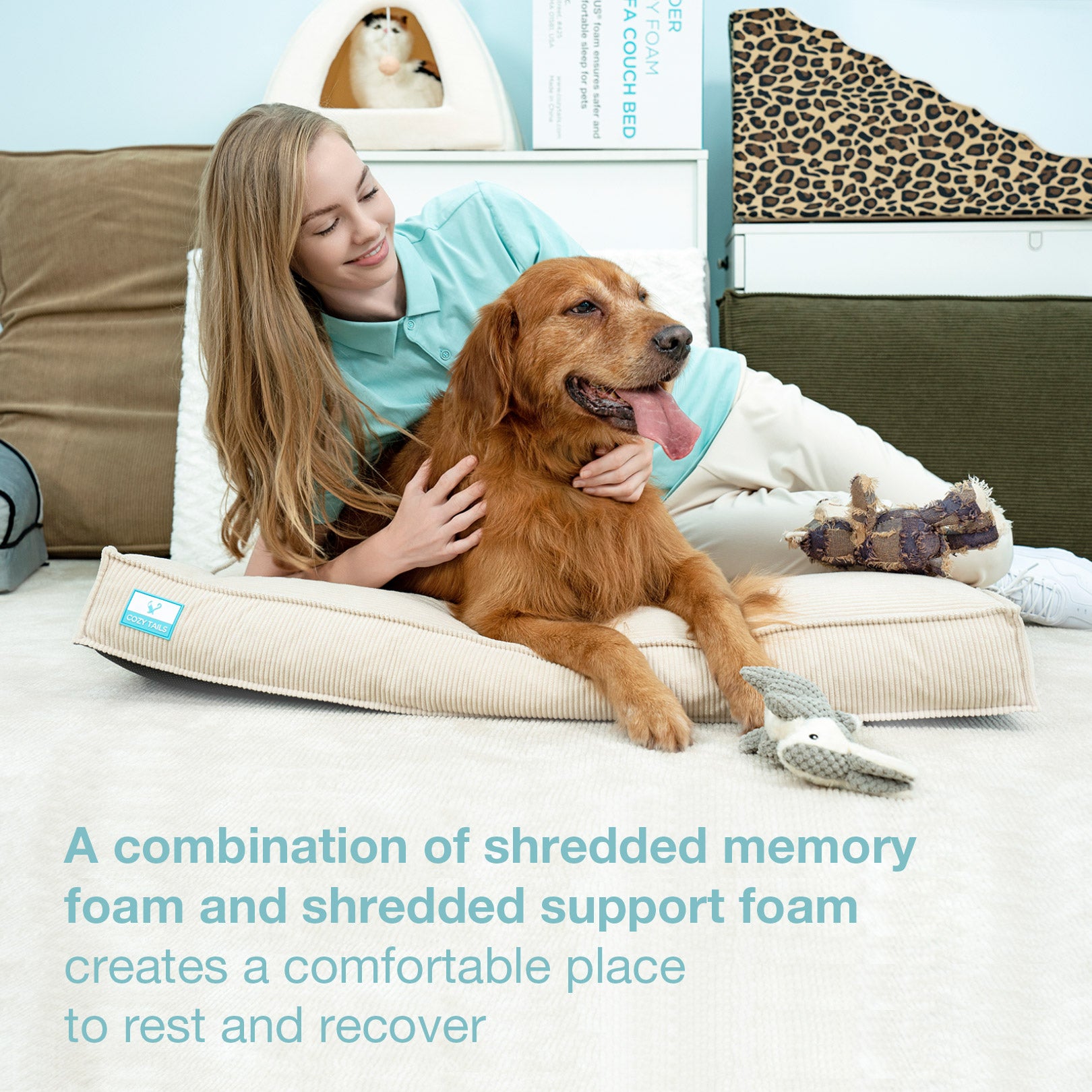 Shredded memory discount foam dog bed